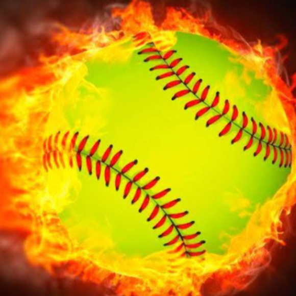 Meet your Posher, Quinn - Picture 1 of 1